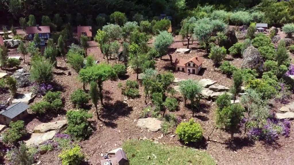 Permaculture design
