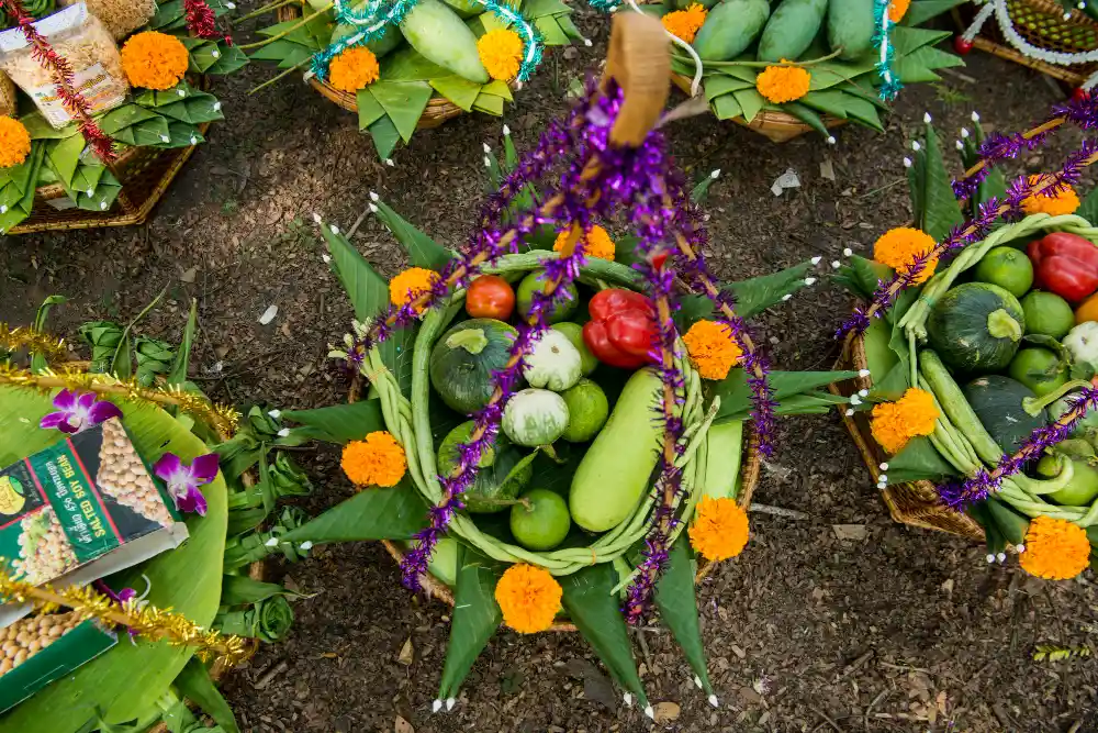 Permaculture garden